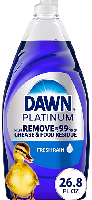 Dawn dish soap