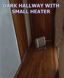 Dark hallway to attract bird mites