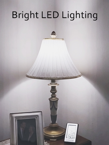 LED light 5000K keeps bird mites away